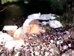 વાપીના હરિયા પાર્ક વિસ્તારમાંથી મળ્યો કફ સીરપનો જથ્થો, જુઓ વીડિયો