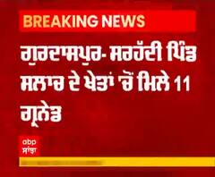 Breaking- ਗੁਰਦਾਸਪੁਰ ਦੇ ਸਰਹੱਦੀ ਇਲਾਕੇ 'ਚ ਮਿਲੇ 11 ਗ੍ਰਨੇਡ