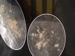 स्वच्छता के अधूरे सबक वाली कुव्यवस्था... भैंस ने गोबर किया, चालान काटा