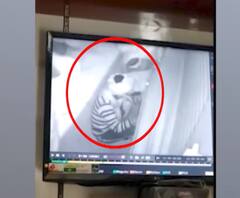 दुकान में चोरी करते चोरों की करतूत सीसीटीवी कैमरे में कैद