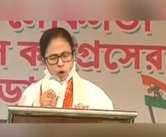 Mamata Banerjee at Gopalnagar: 