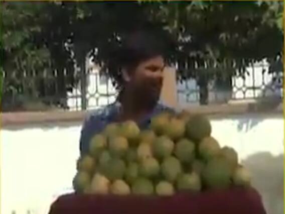 મહેસાણામાં જામફળની ખેતી નિષ્ફળ જતા ખેડૂતોની સ્થિતિ ખરાબ, જુઓ વીડિયો