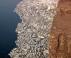 Kolhapur | इचलकरंजीमध्ये कापड प्रक्रिया करणाऱ्या उद्योगांची प्रदुषण नियंत्रण पथकाकडून चौकशी