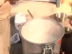 Bread pakoras, tea arranged for police officials deployed at Tikri border