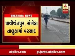 છોટાઉદેપુરના આ વિસ્તારોમાં વરસ્યો કમોસમી વરસાદ, જુઓ વીડિયો 