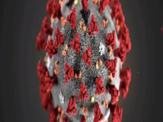 Europe के 8 देशों में पहुंचा 'Covid-20', जानिये कोरोना के नए स्ट्रेन के बारे में 