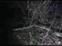 મહીસાગરના આ ગામમાં 10 ફૂટ લાંબો અજગર આવતા જોવા ઉમટ્યા લોકો, જુઓ વીડિયો 