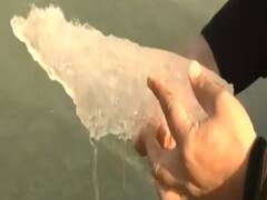 श्रीनगर में भारी बर्फबारी से बढ़ी ठिठुरन, डल झील भी जमी