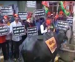 भैंस के आगे बीन बजाकर सपा का प्रदर्शन | सुपरफास्ट अंदाज में देखिए 75 जिले 75 खबरें