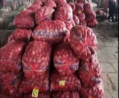 Onion Price Falls | सोलापुरात कांद्याच्या दरात घसरण, इजिप्तचा कांदाही दाखल 