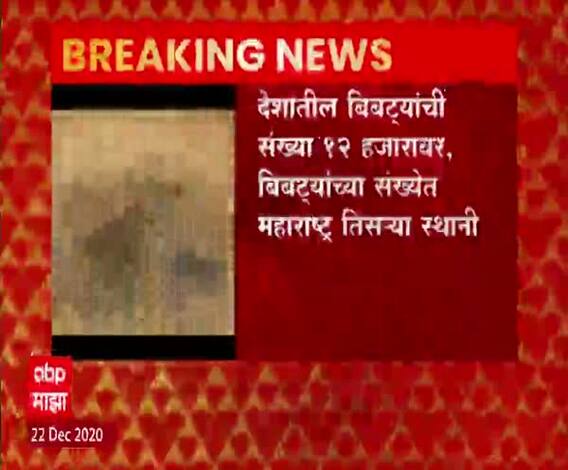 Leopard population | देशातल्या बिबट्यांच्या संख्येत वर्षात टक्क्यांनी वाढ