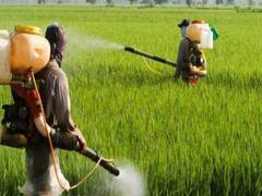 Fifth round of talks between farmers and govt underway