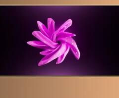 Anupamaa: Kavya, Rakhi ben join hands against Anupamaa?