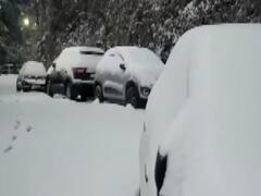 Tourists rejoice as Shimla receives fresh snowfall