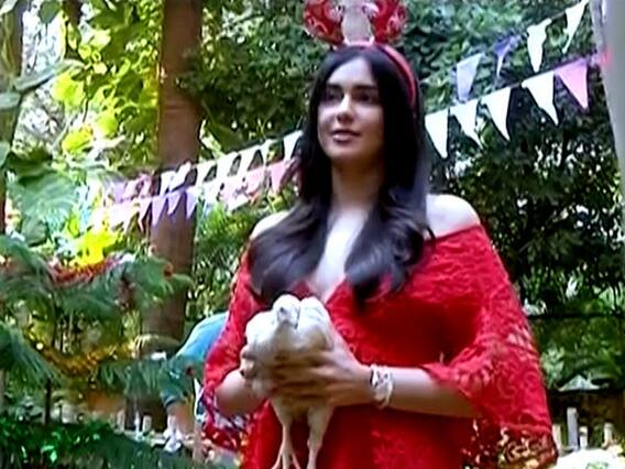 Adah Sharma सांता क्लॉज बनकर कैसे मना रही हैं Christmas का जश्न, देखिए