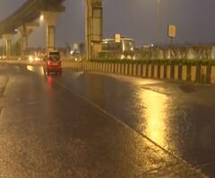 Palghar | पालघरमध्ये गवत पावळी शेतकरी, मच्छिमाऱ्यांचं नुकसान, अवकाळी पावसाचा रब्बी पिकांनाही फटका