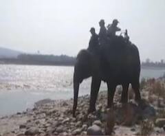 Haridwar Kumbh Mela 2021 : कुंभ को लेकर मेला प्रशासन की रणनीति, पालतू हाथयिों का लिया जाएगा सहारा