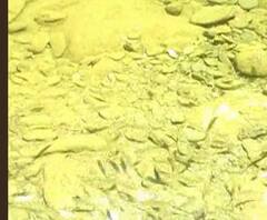 विकास लेकर आया विनाश !, विलुप्त होने की कगार पर पहुंची 43 प्रजातियां | Satte Pe Satta 