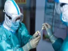 Covid negative report necessary to enter state: Himachal HC 