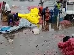 Visuals of Snowfall in Ladakh, Gulmarg & Shimla will make your day