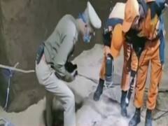 UP: SDRF, NDRF teams try to pull 4-year-old from borewell