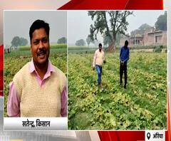 बेमौसम फसल उगाकर सभी को किया हैरान, लाखों के मुनाफे में ये किसान | Satte Pe Satta 