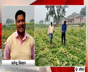 बेमौसम फसल उगाकर सभी को किया हैरान, लाखों के मुनाफे में ये किसान | Satte Pe Satta 