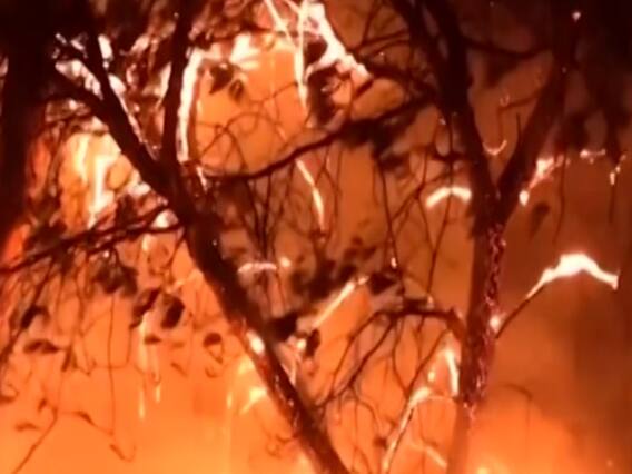 Global Warming: तबाही की ओर बढ़ रही दुनिया, 3 डिग्री बढ़ जाएगा पृथ्वी का तापमान