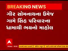 ગીર સોમનાથના ઉમેજ ગામે સિંહ પરિવારના ધામા, CCTVમાં જુઓ એક સાથે પાંચ સિંહ  