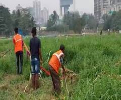 फुकट जागा मिळत असल्याची अफवा पसरली अन् 24 तासात उभारल्या तब्बल 400 झोपड्या! मुंबईच्या कांजूरमधील प्रकार