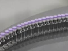 क्या भारत देगा Pfizer की कोरोना Vaccine को मंजूरी? देश में सबसे पहला टीका किसे लगेगा? 