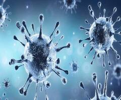 COVID-19 Vaccine: করোনা ভ্যাকসিন নিয়ে বৈঠকে বসেছে বিশেষজ্ঞ কমিটি, সুপারিশের ভিত্তিতে চূড়ান্ত সিদ্ধান্ত নেবে ডিসিজিআই