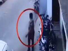 Caught on camera: Thieves arrive in SUV to steal goat