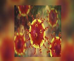 ১০টায় সারাদিন: রাজ্যে একদিনে করোনা আক্রান্ত ২,৫৮০, মৃত ৪৭