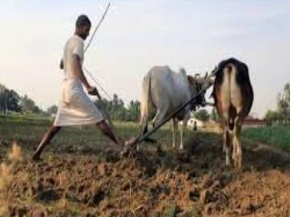 चरमपंथी संगठन किसानों को हिंसा के लिए उकसाने की कोशिश कर रहे हैं: सूत्र