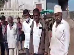 રાજકોટ: સિંહોના ટોળાએ જેતપુરના આરબ ટીંબડીમાં 8 પશુઓનું કર્યું મારણ, લોકોમાં ભયનો માહોલ