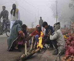 'शीत लहर' झांकी है, सर्दी का 'कहर' अभी बाकी है!