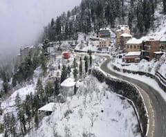Uttarakhand Weather Update: कोहरे और ठिठुरन ने बढ़ाई लोगों की परेशानी| ABPGanga 