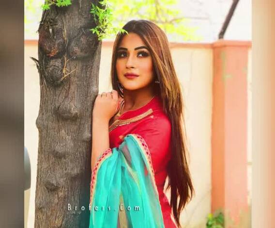 Tuada Kutta Tommy कैसे हुआ इतना पॉपुलर ? जानिए Shehnaaz Gill का Ekta Kapoor कनेक्शन ?