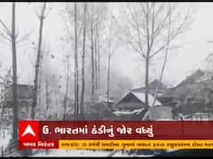 ઉત્તર ભારતમાં ઠંડીનું વધ્યું જોર, દિલ્હીમાં સિઝનનો સૌથી ઠંડો દિવસ નોંધાયો