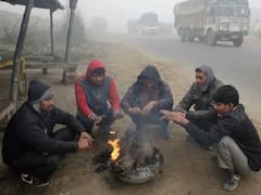 રાજ્યમાં આગામી દિવસોમાં ઠંડીનો પારો વધુ ગગડવાની આગાહી, જુઓ વીડિયો