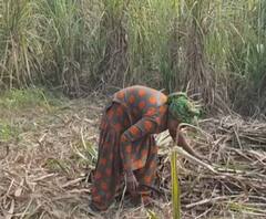 दिल्ली के यूपी गेट पर डटे किसान, खेतों में महिलाओं ने संभाला मोर्चा