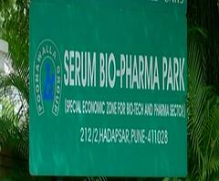 भारतात एक-दोन नव्हे तर आठ लस बनवण्याचे प्रयत्न, भारतातील 8 लसी कोणत्या टप्प्यात? स्पेशल रिपोर्ट