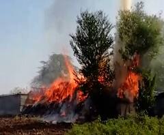 Special Report | देवासमोरच्या दिव्यामुळे संसार उध्वस्त, उंदरानं वात पळवल्याने घराला आग | सोलापूर