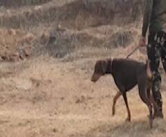 Rape Case | रायगडच्या पेणमध्ये अडीच वर्षाच्या चिमुरडीवर बलात्कार करुन हत्या