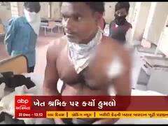 ભાવનગરના ગળથરમાં યુવક પર સિંહે કર્યો હુમલો, જુઓ વીડિયો 