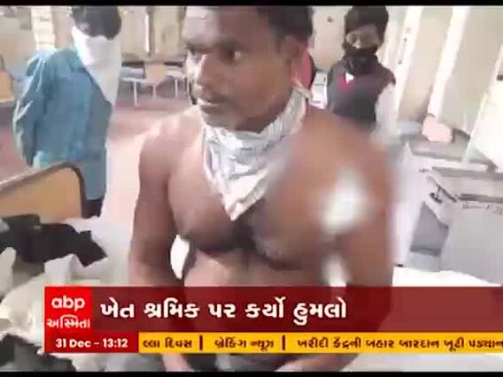 ભાવનગરના ગળથરમાં યુવક પર સિંહે કર્યો હુમલો, જુઓ વીડિયો 