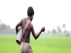 क्या पुराने तरीकों से खेती करने की वजह से मुनाफा नहीं कमा पाते किसान? देखिए ये रिपोर्ट