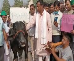 Farmers Protest: भैंस के आगे बीन क्यों बजा रहे हैं किसान ?. | ABP Ganga 