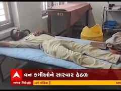 અરવલ્લીના ભિલોડાના ઈંદ્રપુરા રોડ પર વન કર્મીઓ પર હુમલો, બન્ને કર્મીઓ ઈજાગ્રસ્ત